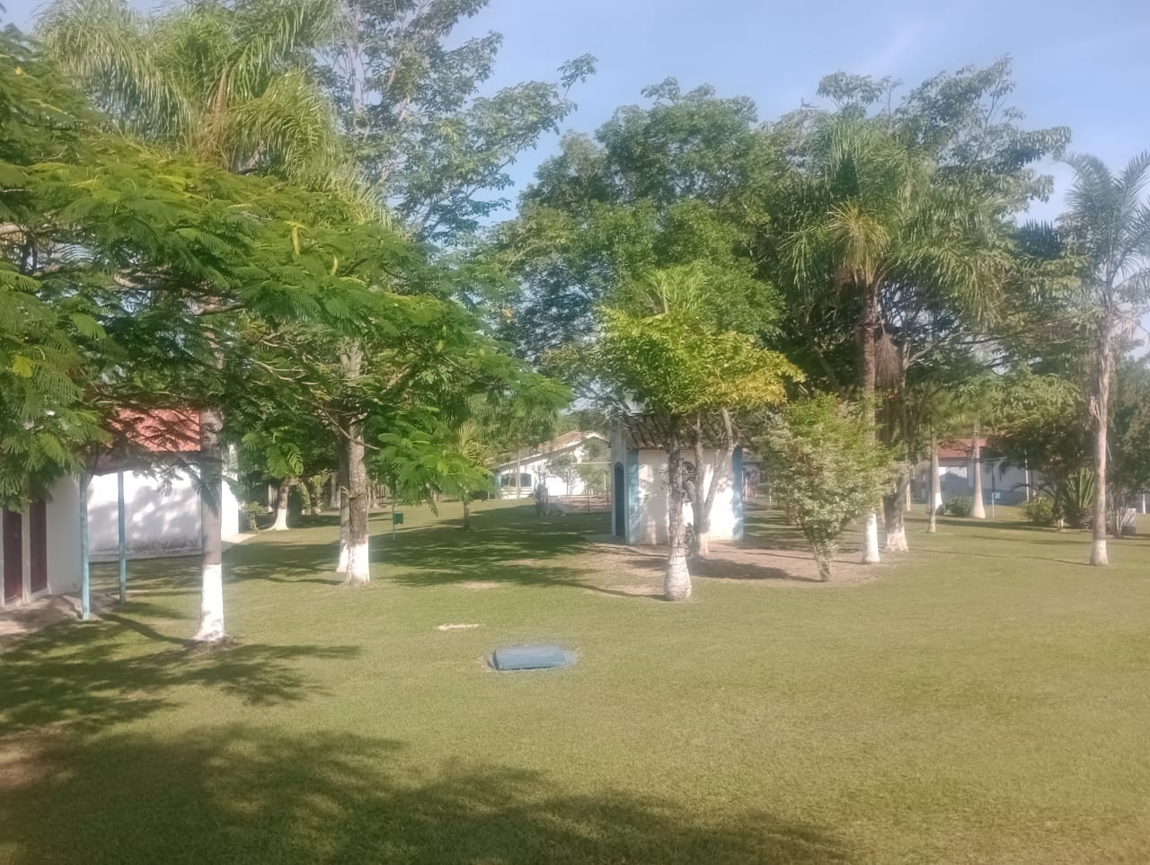 Gramado amplo do Espaço Campestre Wannel com árvores e palmeiras